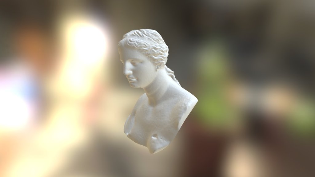 Venere Di Milo Busto