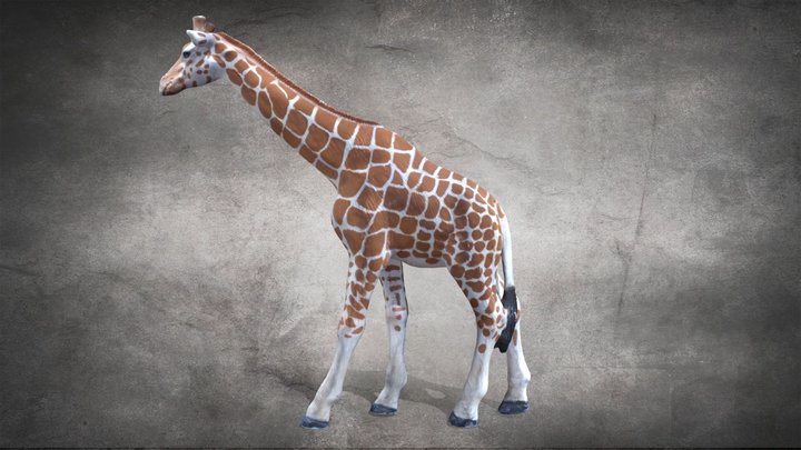 Toy Giraffe 3D Model