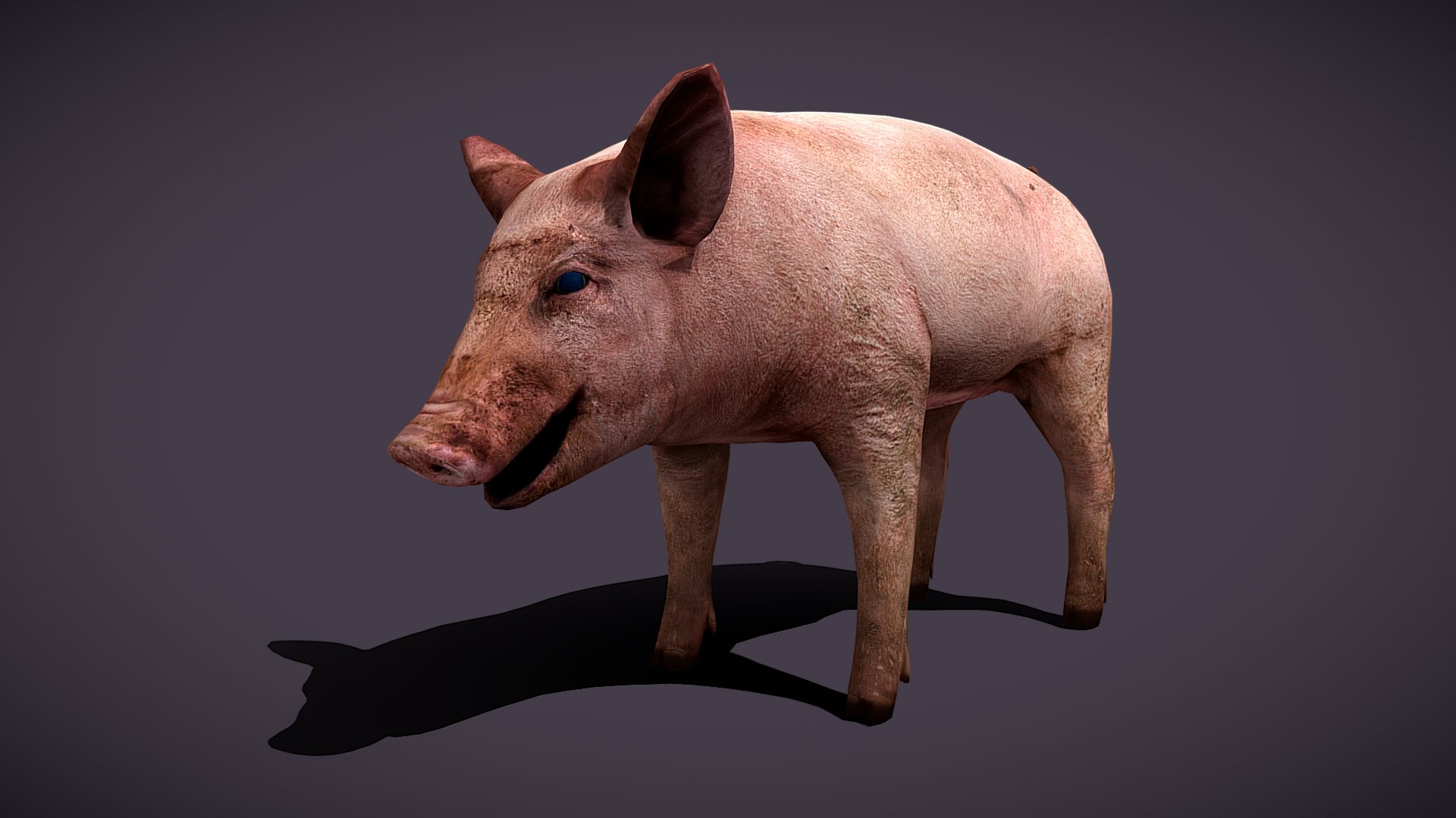 3D model Dirty Pig - This is a 3D model of the Dirty Pig. The 3D model is about a small pink pig.