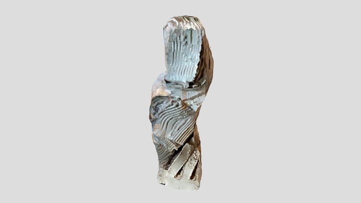 Untitled Scan 3D Model