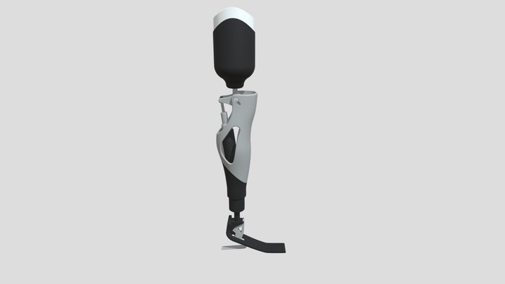 LEG PROSTETHICS 3D Model