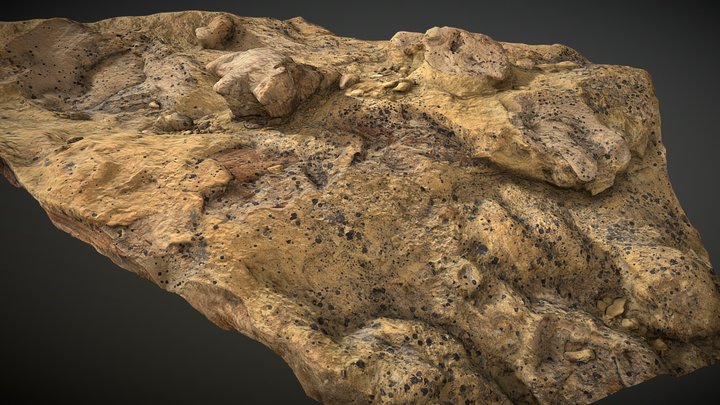 Dinosaur Footprint 3D Model