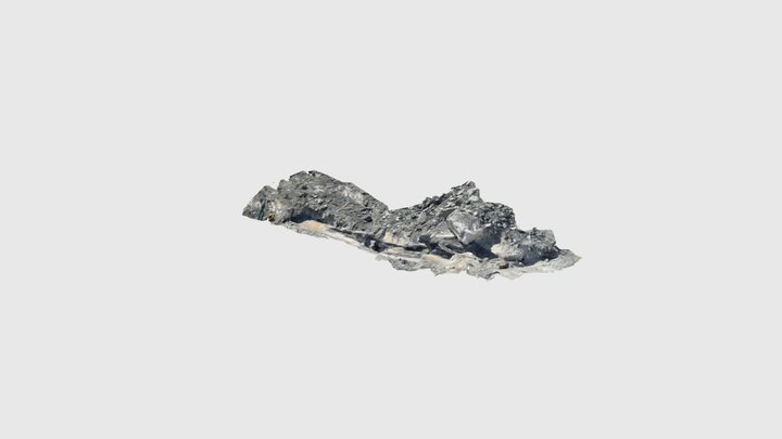 Fossil log 3 3D Model