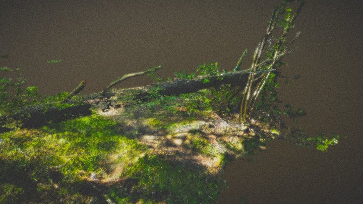 Grove 3D Model