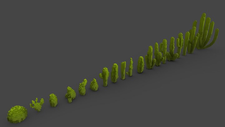 KubiGonic Cactus Pack │Voxel 3D Art 3D Model