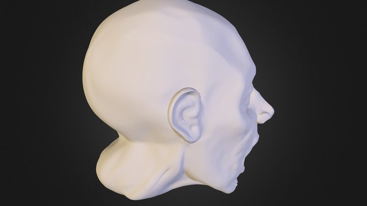Cri 3D Model