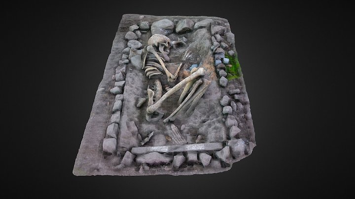 Esqueleto Cuchipuy 3D Model