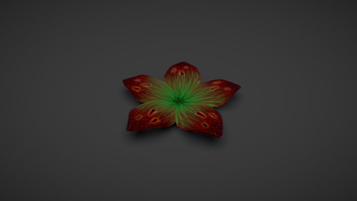 SM_Leaf 3D Model