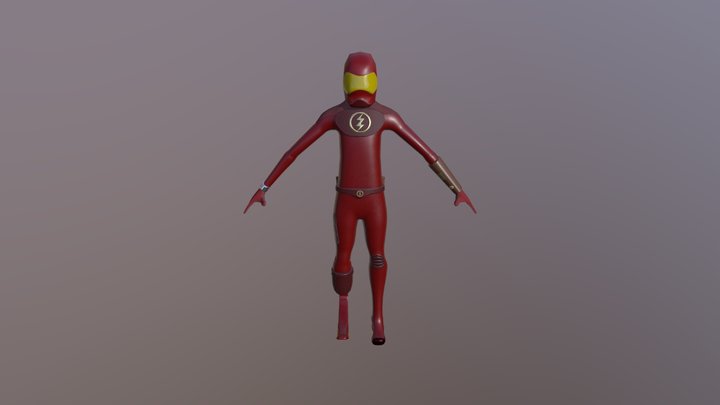 The Flash 3D Model
