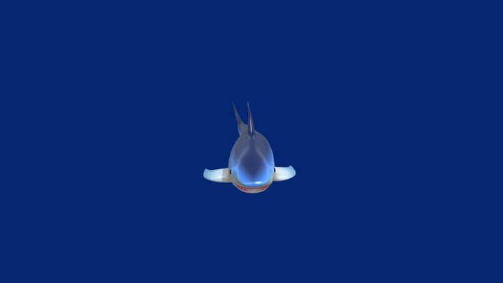 Shark Lover Animation 3D Model