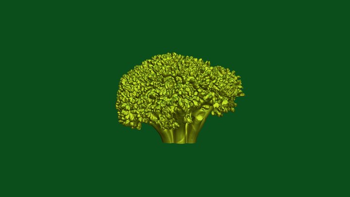 broccoli Jewelry – Modello 3D gratuito STL
