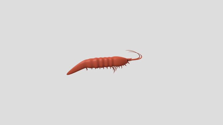 Krill Fish