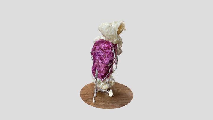 A TRNIO Model 3D Model