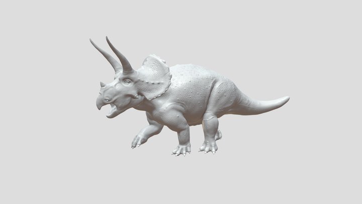 Triceratops – 3D Model 3D Model
