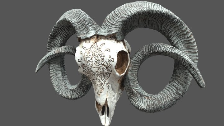 Ram skull 3D Model