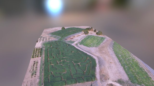 Amador Flower Farm Corn Maze 3D Model