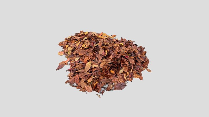 piles of leaves - copy 3D Model