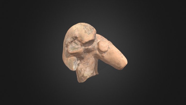 Minature Ram's Head (TC96) 3D Model