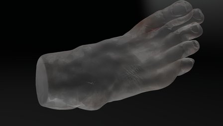My Sketchfab Mesh 3D Model