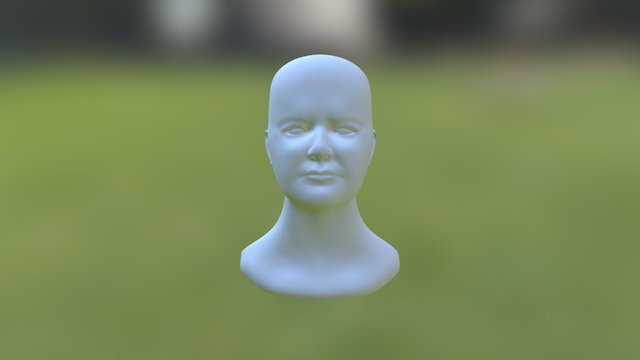 Portrait Brief - Final Retopologised 3D Model