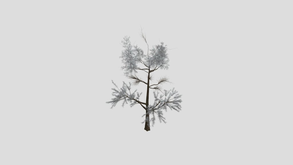Sj Verdant Rise Pine Tree