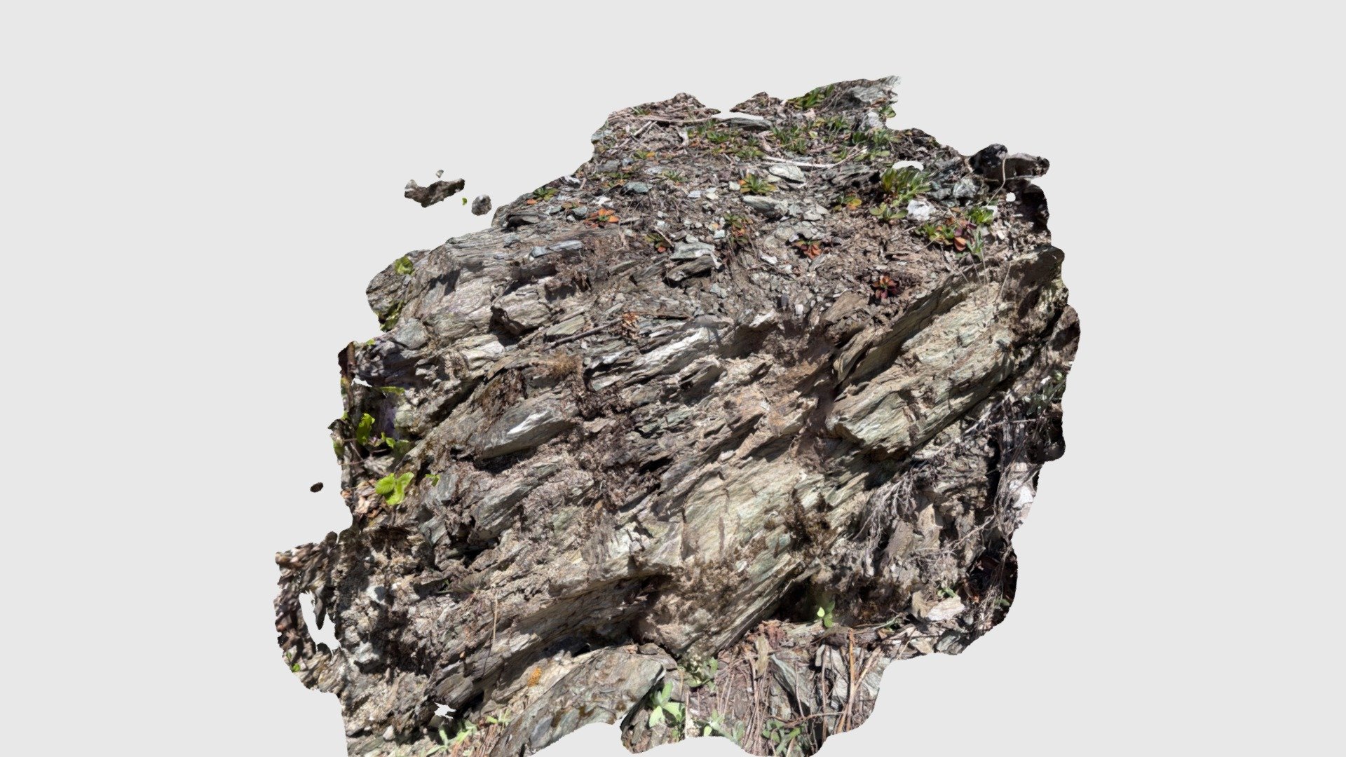 May 20, 2022 - phyllite