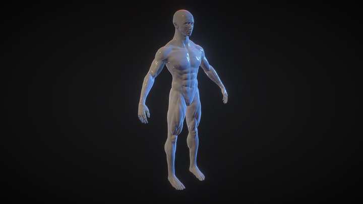 Male Character 3D Model