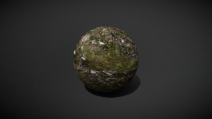 Maerliwald_Boden 3D Model