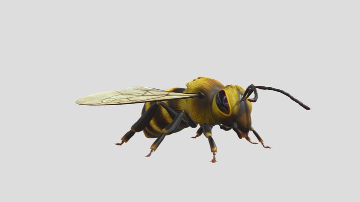 Microsoft Bee 3D Model