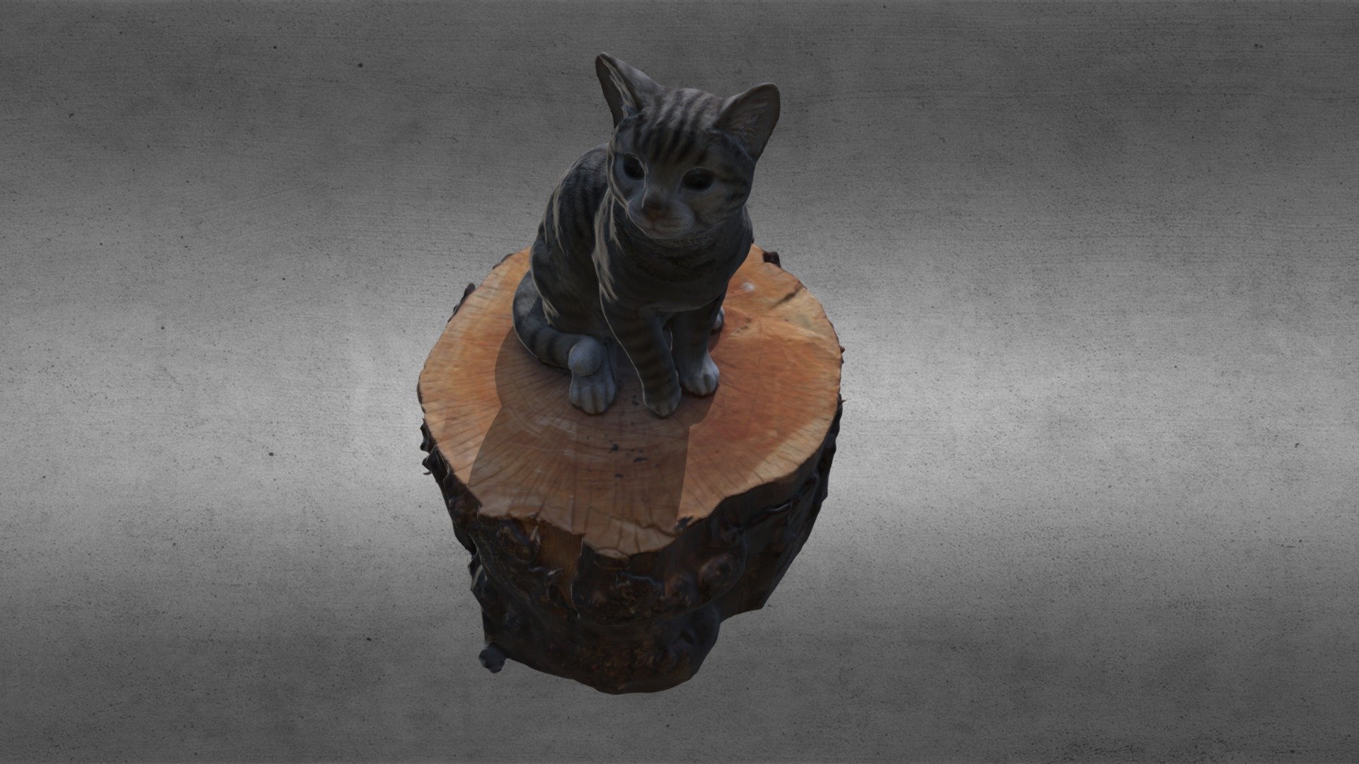 Cat with gray stripes