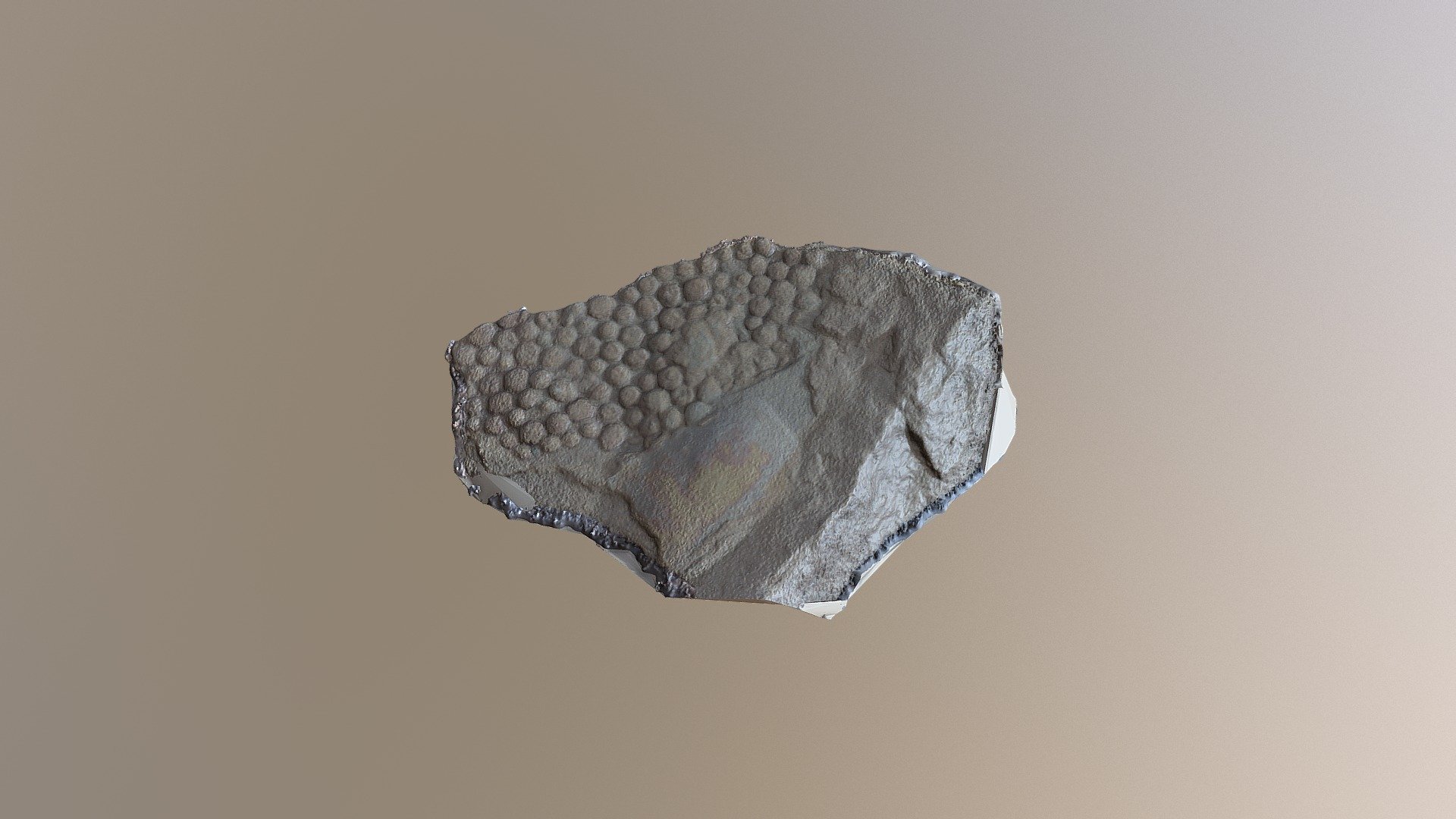 Vendobionta