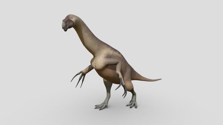 Therizinosaurus 3D Model