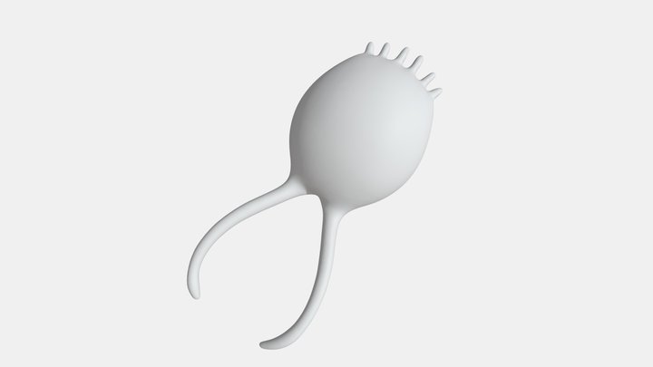 Zooplankton | Brachionus caudatus