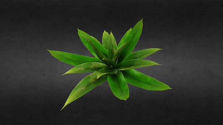 Screw Pine 3D Model