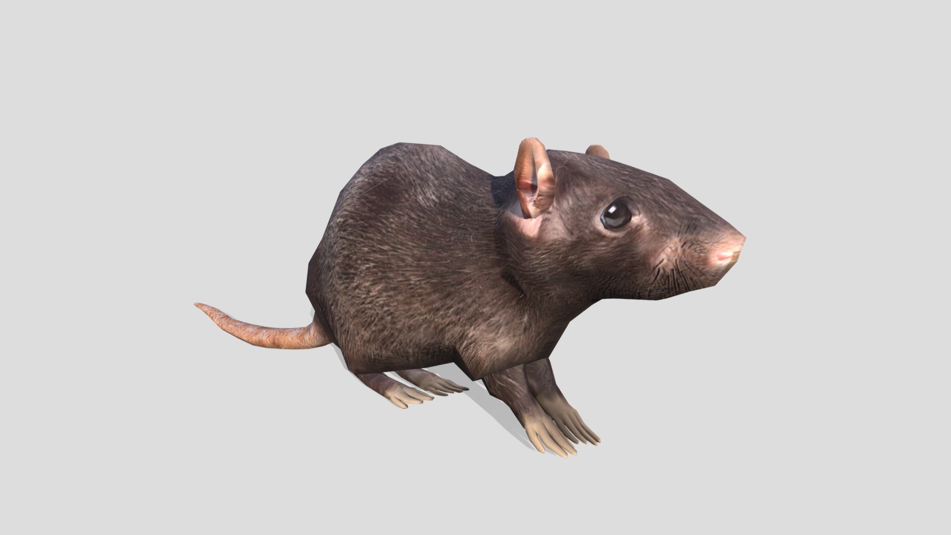 Mouse