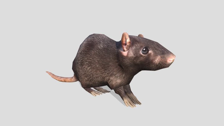 Mouse 3D Model
