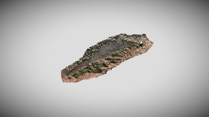 Hrad Blansek - SZ zeď předního hradu 3D Model