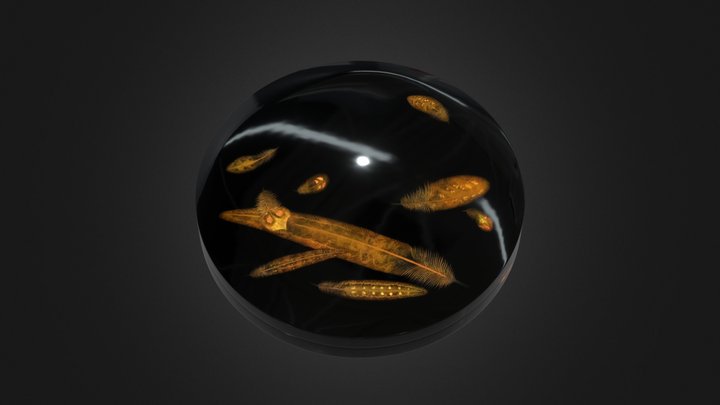 羽根の蒔絵香合 3D Model