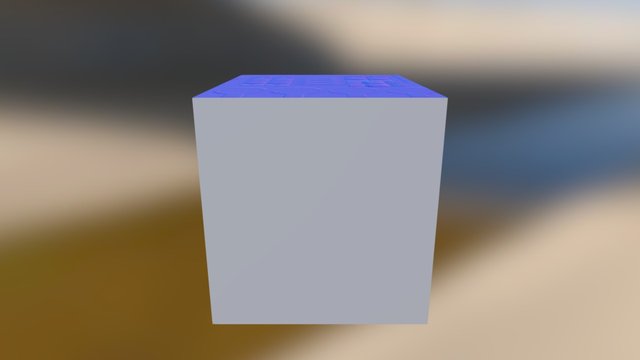 FBX-Face Materials 3D Model