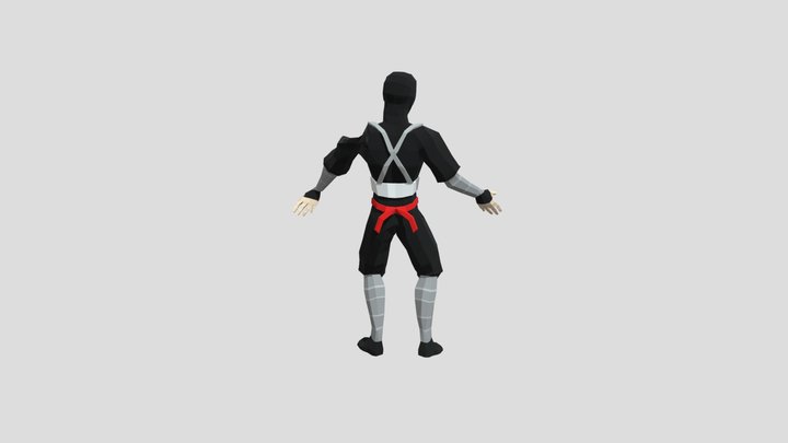 Ninja2 3D Model