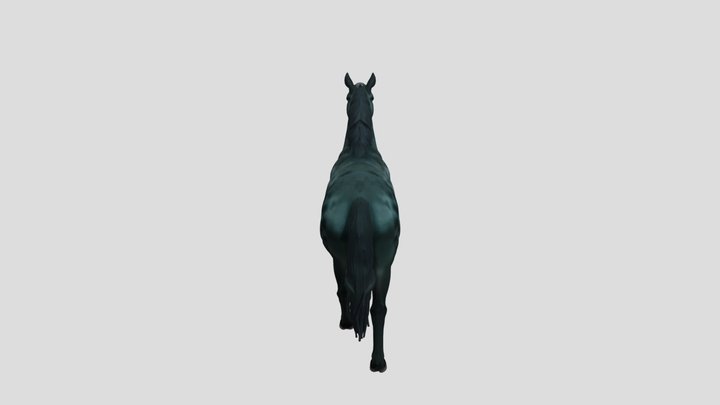 Horse 01a Qi2 14908ebf 3D Model