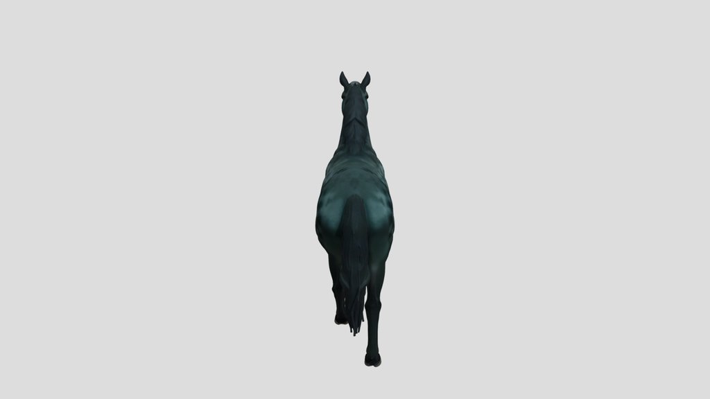 Horse 01a Qi2 14908ebf