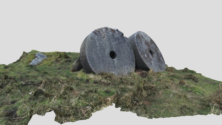 Abandoned millstones at Oakwood Farm 3D Model