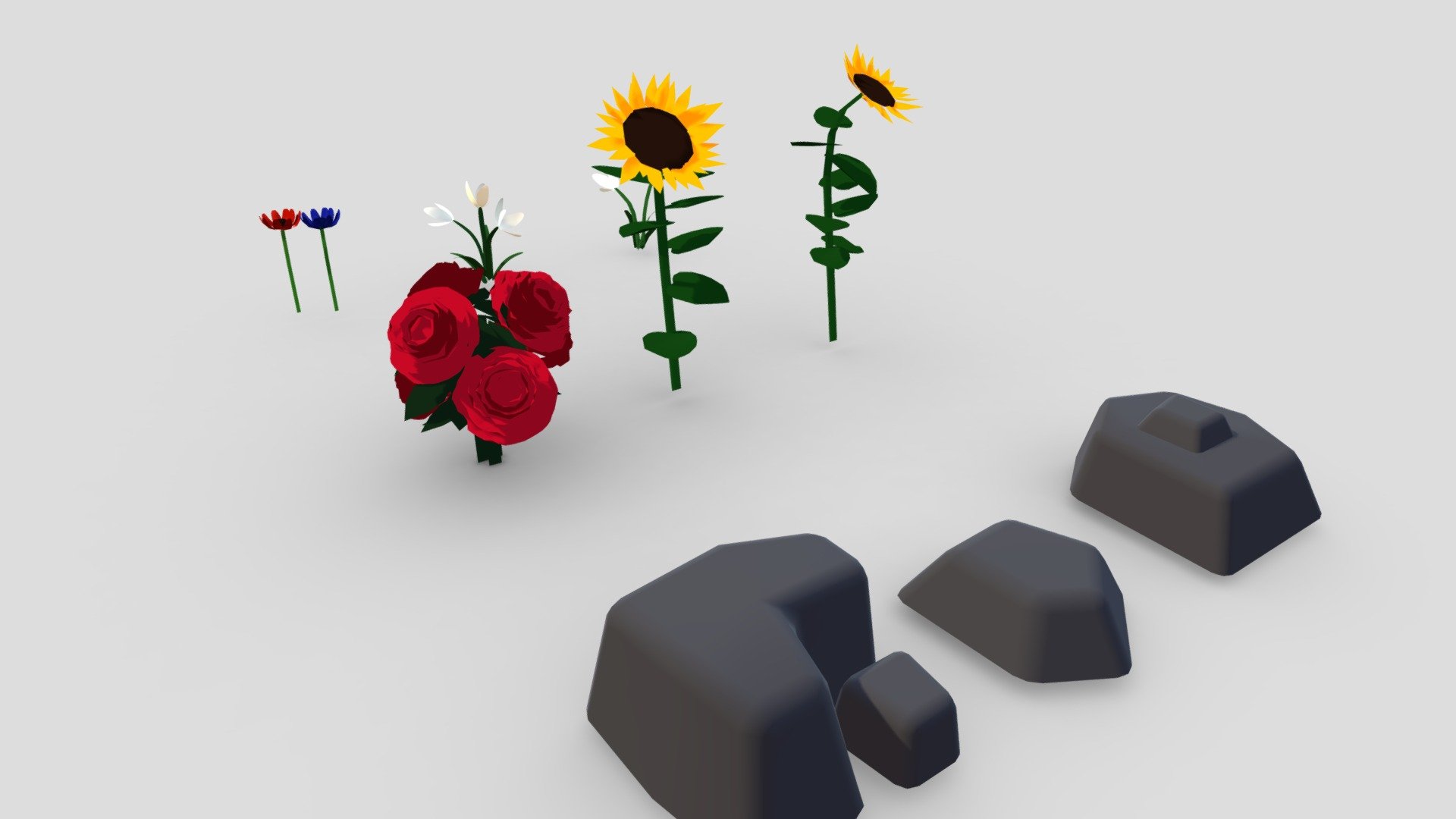 Flowers and stones