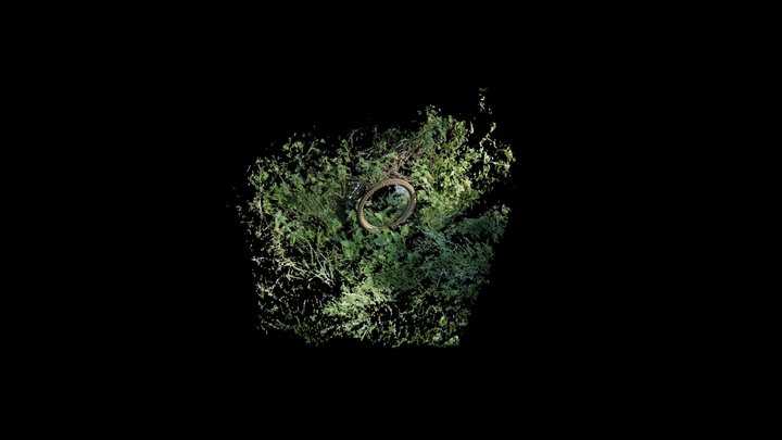 field_1-groundcvover 3D Model