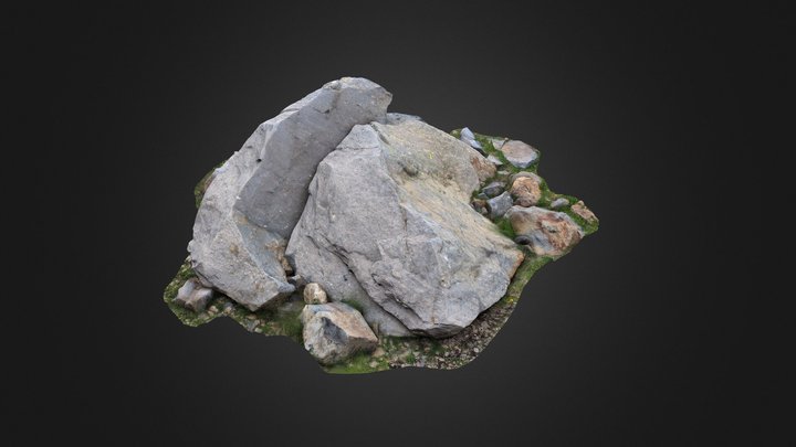 Rock on ground 3D Model