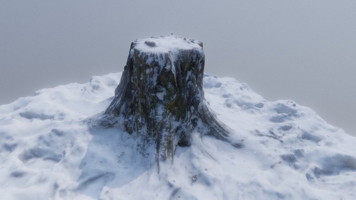 Snowy Stump 3D Model