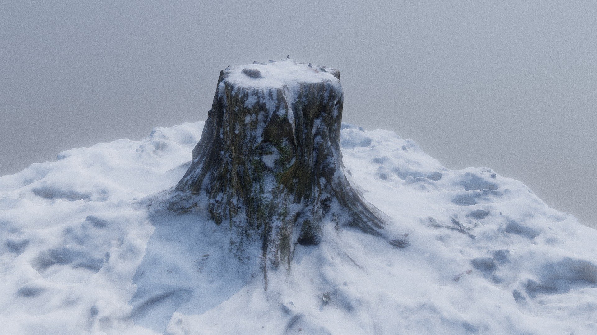 Snowy Stump