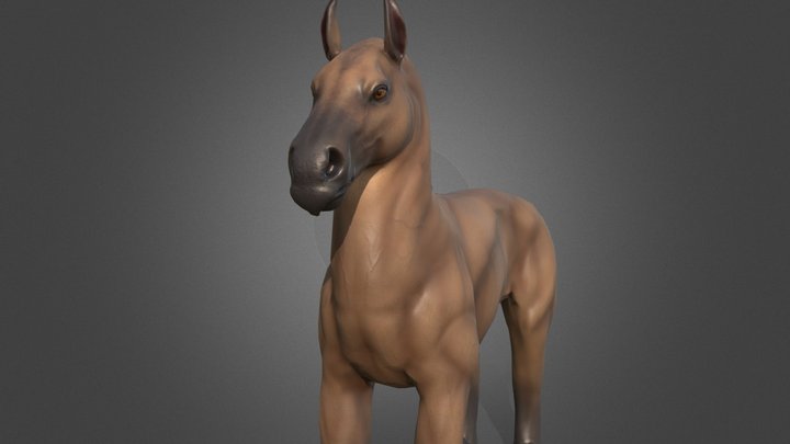 Sandhorse Low 3D Model