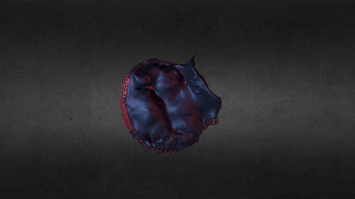 Mitral_project_Cimer_2025 3D Model